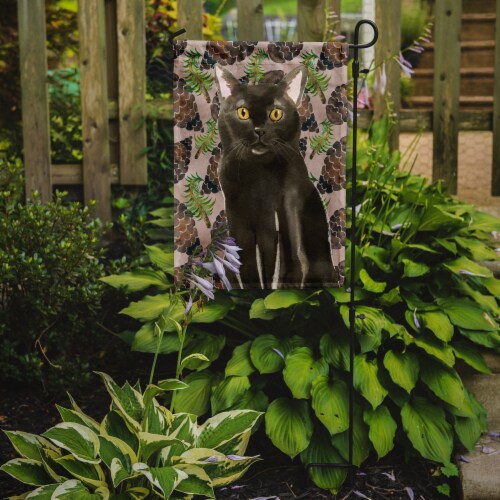 Carolines Treasures CK3092GF Bombay Pine Cones Garden Flag, Brown Perspective: back