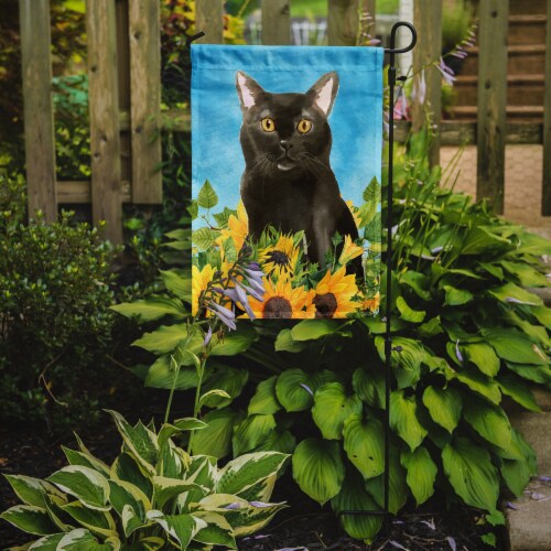 Carolines Treasures CK3152GF Bombay in Sunflowers Garden Flag Perspective: back