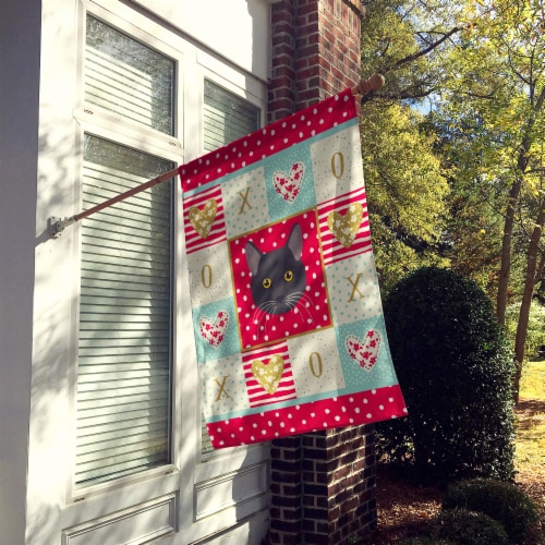 Carolines Treasures CK5091CHF Bombay Cat Love House Flag, Red Perspective: back