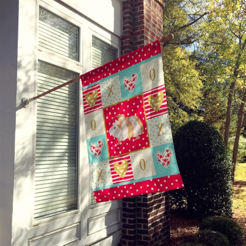 Carolines Treasures  CK5434CHF Silkie Guinea Pig Love Flag Canvas House Size, Re Perspective: back