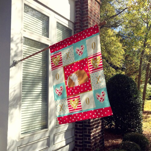 Carolines Treasures  CK5437CHF Texel Guinea Pig Love Flag Canvas House Size, Red Perspective: back