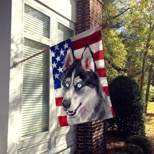 American husky dog sales pictures