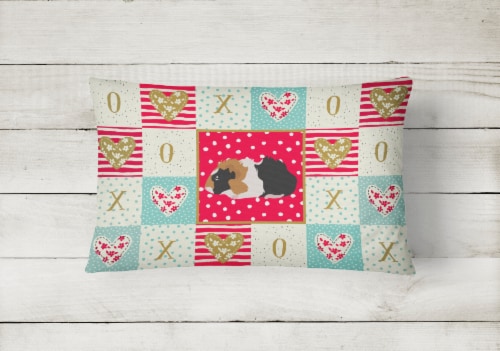 Abyssinian Guinea Pig Love Canvas Fabric Decorative Pillow, Red Perspective: back