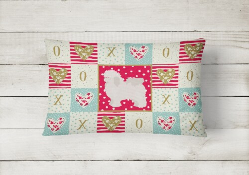 Carolines Treasures  CK5815PW1216 Bolognese Love Canvas Fabric Decorative Pillow Perspective: back