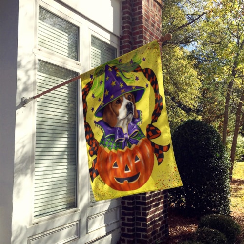 Carolines Treasures PPP3015CHF Beagle Halloweenie House Flag Perspective: back