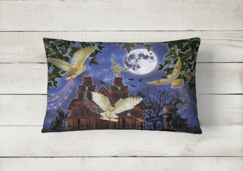 Carolines Treasures  PRS4051PW1216 Halloween Owl Express Canvas Fabric Decorativ Perspective: back