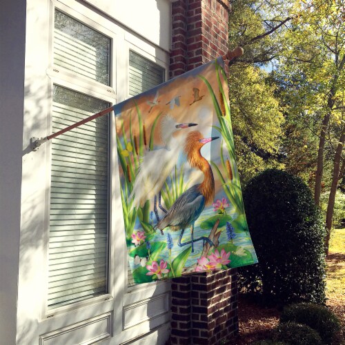 Carolines Treasures PRS4006CHF Reddish Heron Two Phases Flag Canvas House Size Perspective: back