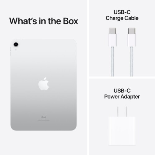 Apple 64 GB iPad - Silver Perspective: back