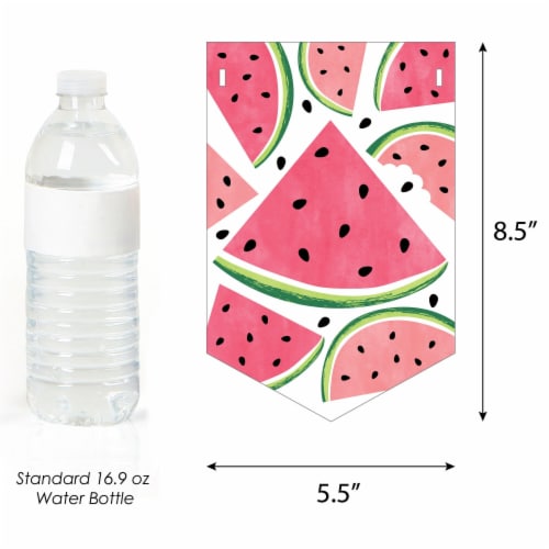 Big Dot of Happiness Sweet Watermelon - Bunting Banner Party Decor - One In A Melon So Sweet Perspective: back