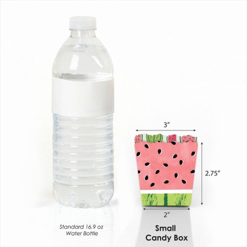 Big Dot of Happiness Sweet Watermelon - Mini Favor Boxes Fruit Party Treat Candy Boxes 12 Ct Perspective: back