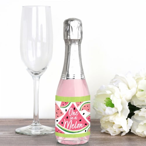 Big Dot of Happiness Sweet Watermelon Mini Wine Bottle Label Stickers Fruit Party Favor 16 Ct Perspective: back