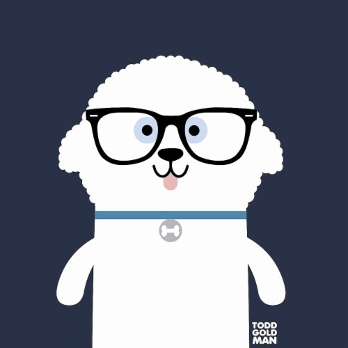 Bow Wow Bichon Frise By Todd Art 18 X18 , Print On Canvas, Ready To Hang Perspective: back