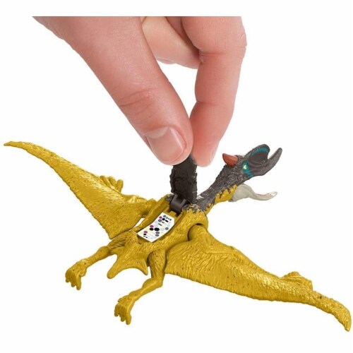 Mattel® Jurassic World Dsungaripetrus Action Figure Perspective: back