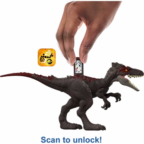 morusintrepidus
