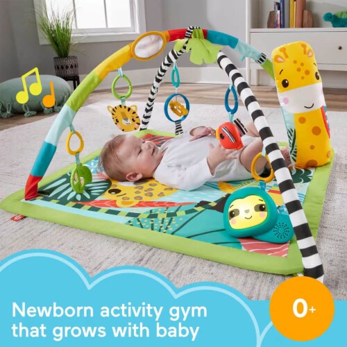 Fisher-Price HJW08 3-In-1 Rainforest Sensory Gym Perspective: back