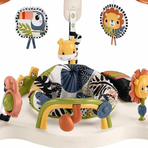 Fisher Price Palm Paradise Jumperoo Baby Activity Center with