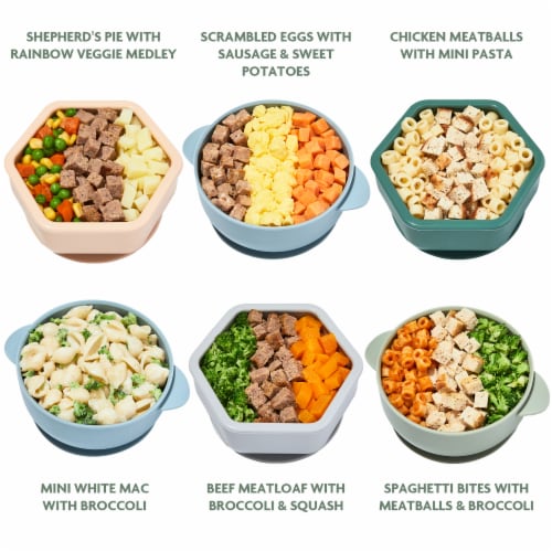 Nurture Life Healthy Baby & Toddler Finger Foods Favorites 6-Meal Variety Pack, Organic Focus Perspective: back