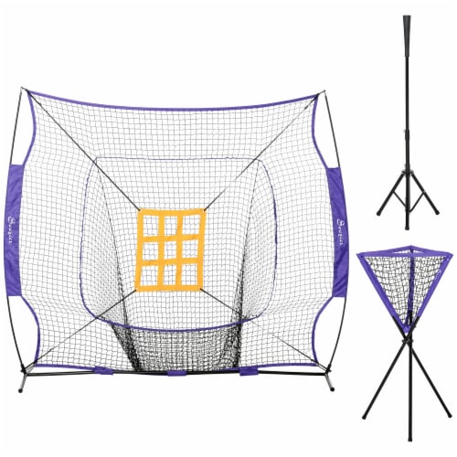 Outdoor Batting Practice Set w/ 120 Ball Collector & Beginner Tee Stand, Purple Perspective: back