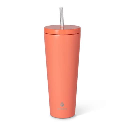 Manna™ Axel™ Stainless Steel Tumbler With Straw - Coral Perspective: back