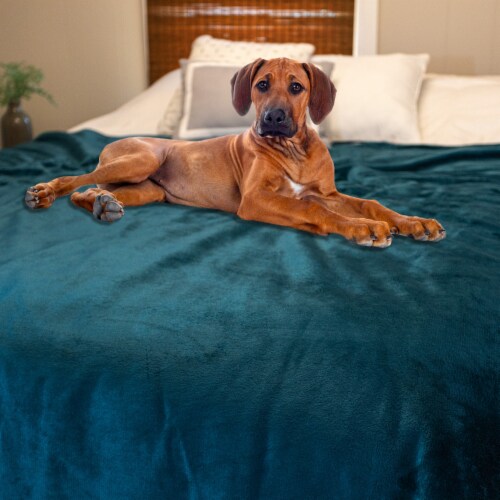 Lavish Home King Waterproof Throw Blanket Xl 80 X 80 Inch Pets Couch Chair Bed Green 1 unit King Soopers
