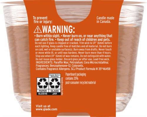 Glade® Limited Edition Pumpkin & Ginger 3 Wick Candle Perspective: back