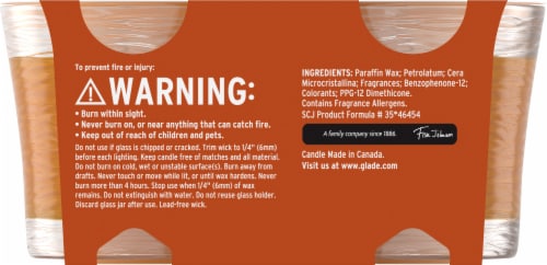 Glade® Limited Edition Small Candle Pumpkin & Ginger Perspective: back