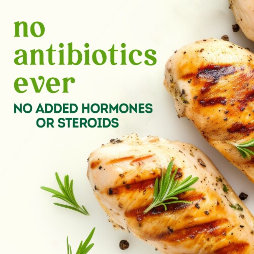 Simple Truth All Natural Boneless Skinless Family Pack Fresh Chicken Breast Perspective: back