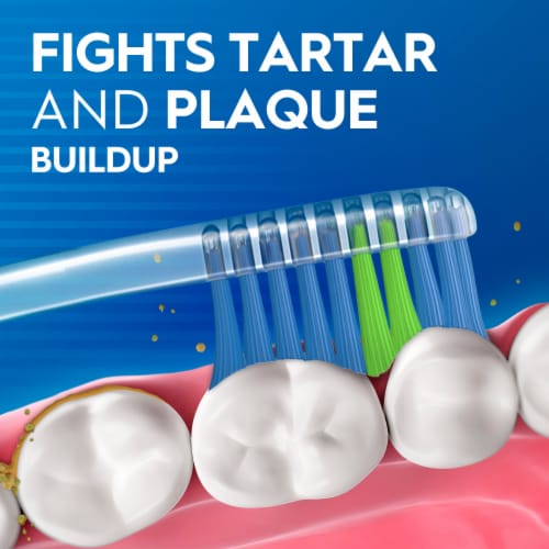 Oral-B Indicator Color Collection Toothbrushes Perspective: back