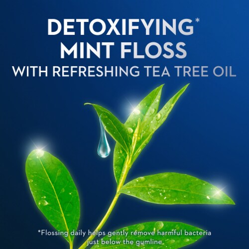 Oral-B Glide Detoxifying Mint infused with Tea Tree Oil Dental Floss Picks Perspective: back