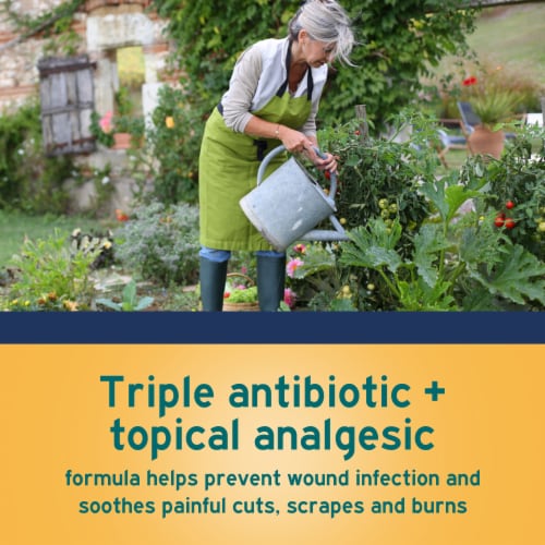 Neosporin + Pain Relief Dual Action Topical Antibiotic Ointment Perspective: back