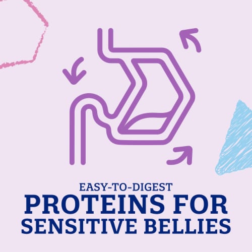 Enfagrow Gentlease Toddler Transitions Gentle Baby Formula Perspective: back