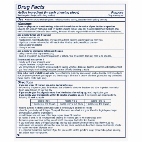 Nicorette Fruit Chill Nicotine Gum 4mg Perspective: back