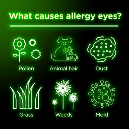 Visine Allergy Eye Relief for red itchy eyes Eye Drops Pheniramine Maleate & Naphazoline HCl Perspective: back