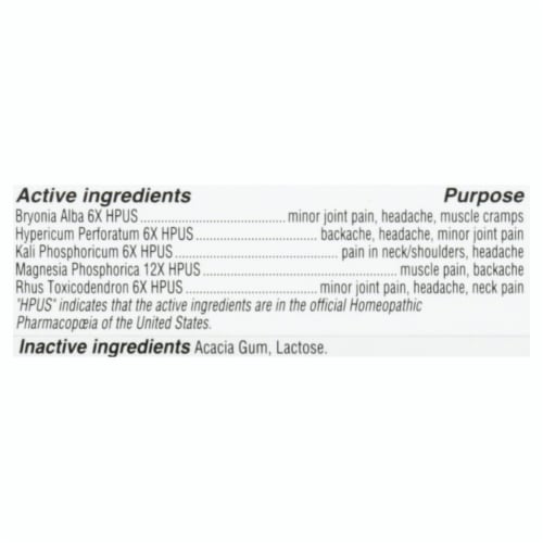 Hyland's Homeopathic Pain Relief Tablets Perspective: back