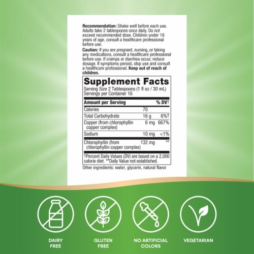 Nature's Way Chlorofresh Skin and Body Detox Chlorophyll Mint Flavored Liquid Perspective: back