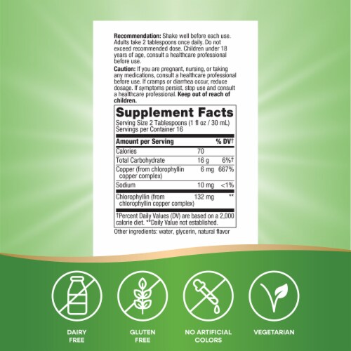 Nature's Way Chlorofresh Skin and Body Detox Chlorophyll Mint Flavored Liquid Perspective: back