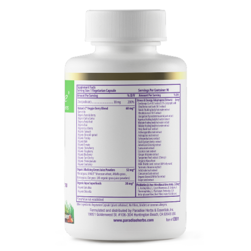 Paradise Earth's Blend Zinc Picolinate Vegetarian Capsules Perspective: back