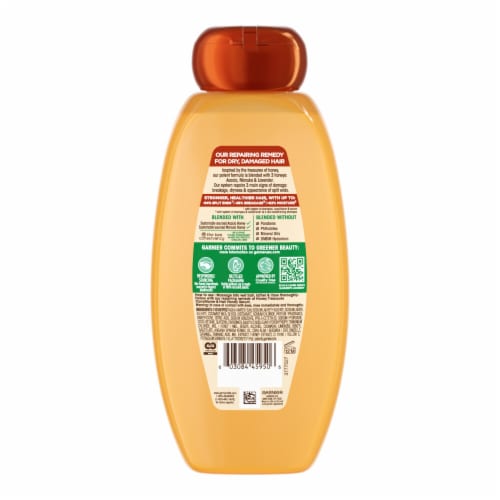 Garnier Whole Blends Honey Treasures Repairing Shampoo for Dry, Damaged Hair Perspective: back