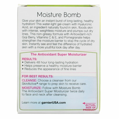 Garnier SkinActive Moisture Bomb Goji Berry Antioxidant Moisturizer Perspective: back