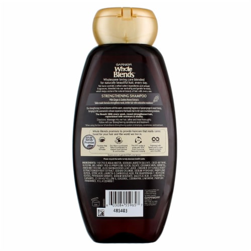Garnier Whole Blends Ginger Recovery Shampoo Perspective: back