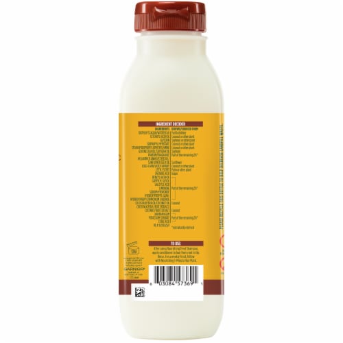 Garnier® Fructis® Coconut Extract Nourishing Treat Conditioner Perspective: back
