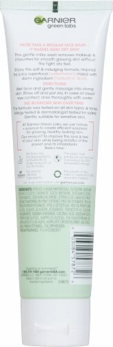 Garnier Green Labs Hyalu-Melon Smoothing Milky Wash Perspective: back