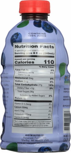 Antioxidant Solutions™ 100% Blueberry Juice Perspective: back