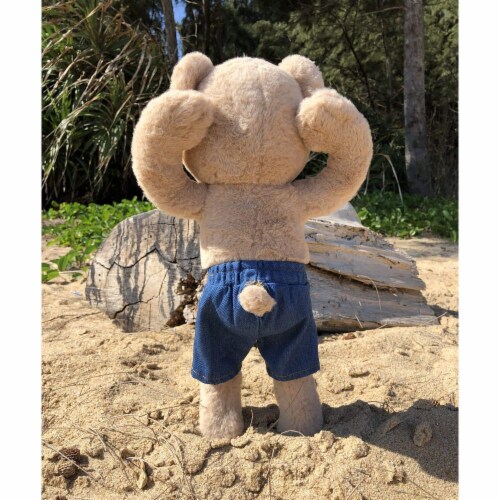 Bear Jean Shorts Perspective: back