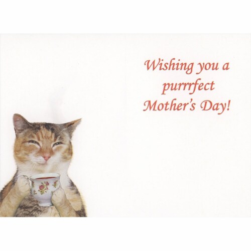 RPG Cat Holding Floral Tea Cup While Sitting at Serving Tray Funny Mother’s Day Card