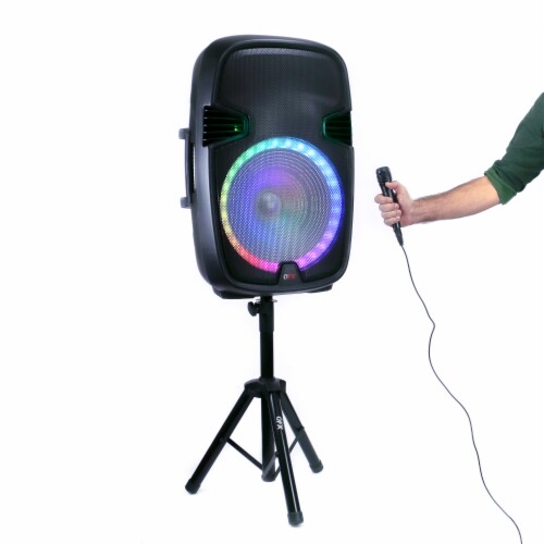 Qfx 15 inch shop speaker