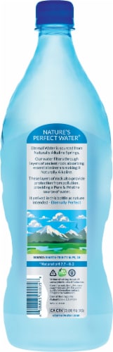 Eternal Alkaline Spring Bottled Water Perspective: back