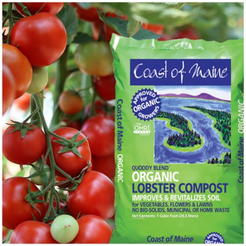 Coast of Maine OMRI Listed Quoddy Blend Lobster Compost Plant Soil, 1 Cubic Foot Perspective: back