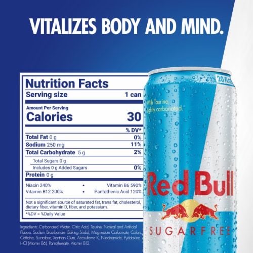 Red Bull Sugar Free Energy Drink Can Perspective: back