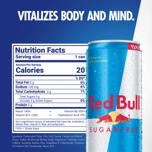 Red Bull Sugar Free Energy Drink Can Perspective: back